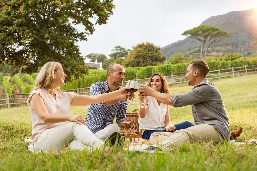 Friends clinking glasses of wine at a picnic. Connecting with other people