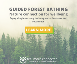What Forest Bathing Is & Why You Should Do It • Feel More Connected